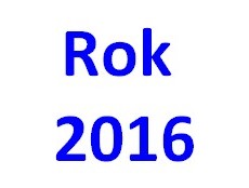 Podsumowanie roku i plany na 2016 Podsumowanie roku i plany na 2016
