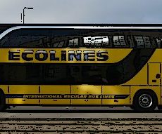 Ecolines – co powinieneś wiedzieć przed podróżą?