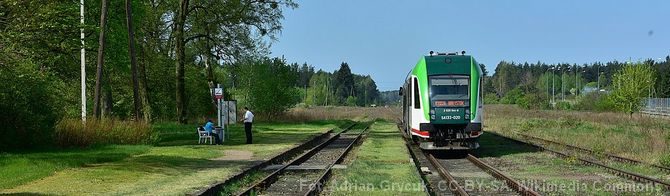 Pociąg Białystok – Waliły – informacje (2021)