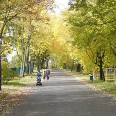 Park Śląski – 10 najciekawszych miejsc i atrakcji